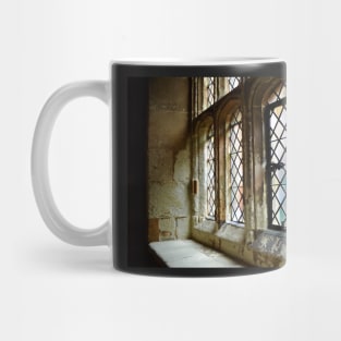 Window Pane Mug